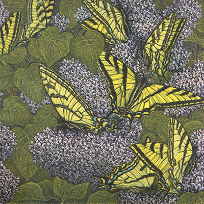 Janet Turner - Swallowtails on Lilacs, circa 1974-1975 - Jody